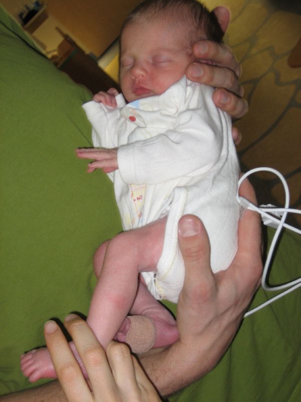 04-Alma tiny